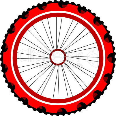 Bicycle wheel isolated on white