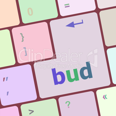 button with bud word on computer keyboard keys