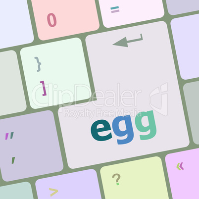 egg word on computer pc keyboard key