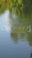 Water pond background - vertical