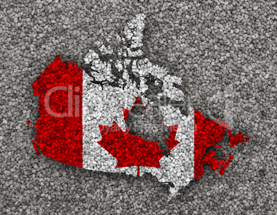 Karte und Fahne von Kanada auf Mohn