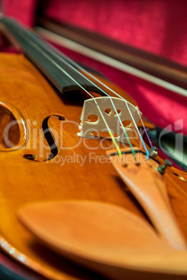 Detail of a beautiful violin