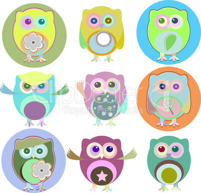 colorful owls with nine color combinations isolated on white