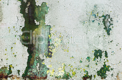 Green grunge surface