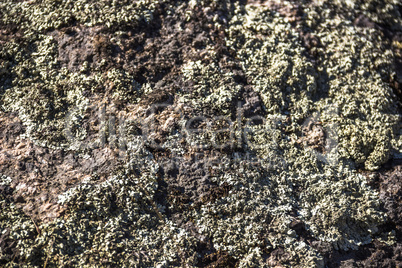 close-up stone texture