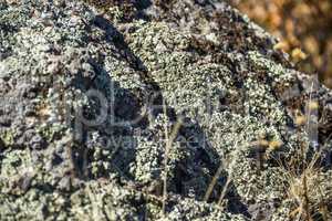 close-up stone texture