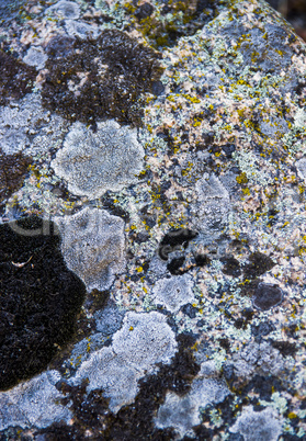 close-up stone texture