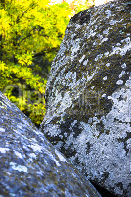 close-up stone texture