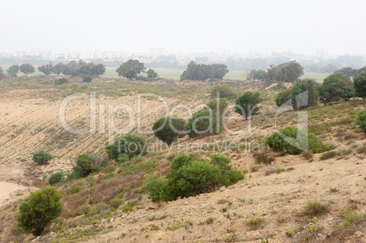 Wasteland near Ashkelon, Israel