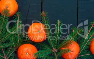 Orange tangerines with spruce branches on a black wooden surface
