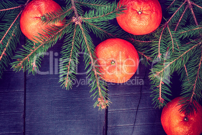 Orange tangerines with spruce branches, vintage toning