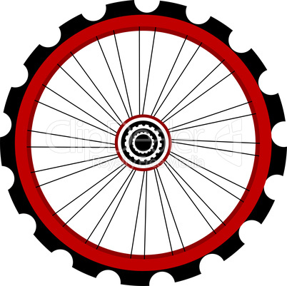 Bicycle wheel isolated on white