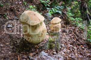 Holzfiguren im Wald