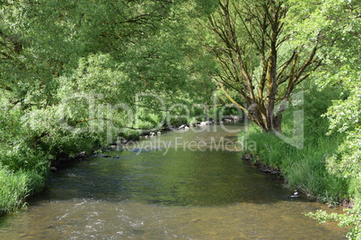 Nister im Westerwald