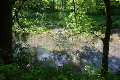 Nister im Westerwald