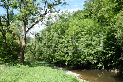 Nister im Westerwald