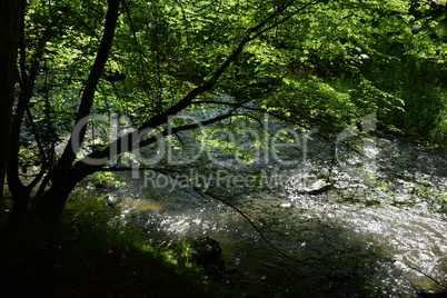 Nister im Westerwald