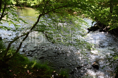 Nister im Westerwald