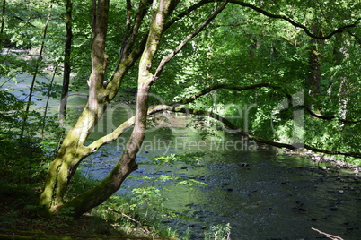 Nister im Westerwald