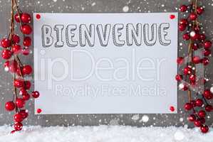 Label, Snowflakes, Christmas Decoration, Bienvenue Means Welcome