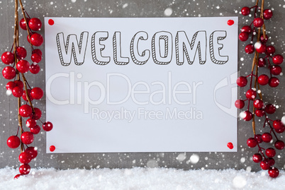 Label, Snowflakes, Christmas Decoration, Text Welcome