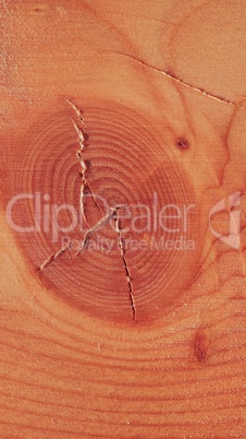 Larch wood background