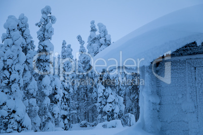 Small Snow-Covered House on the Edge of the Winter Forest