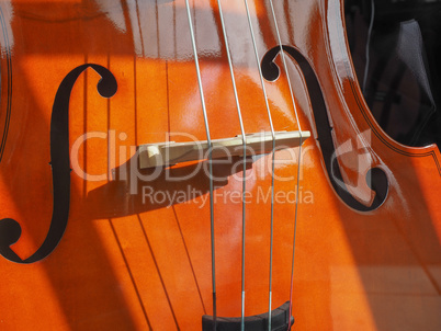 Cello stringed instrument