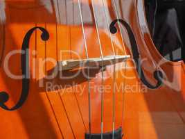 Cello stringed instrument