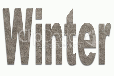 Angorawolle im Wort Winter