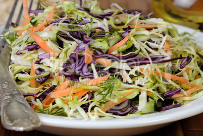 salad of red and white cabbage