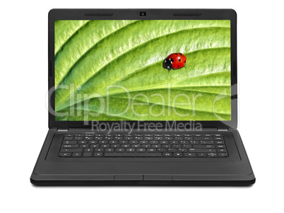 Ladybug on laptop screen isolated on white background