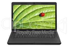 Ladybug on laptop screen isolated on white background