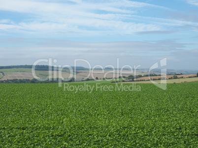 English country panorama in Salisbury