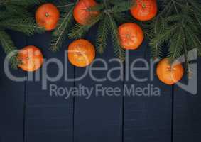 Orange tangerines with spruce branches on a black wooden backgro