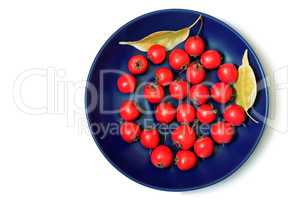 Hawthorn berries on a plate on a white background.