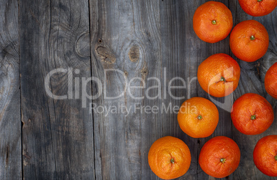 orange mandarins on the gray wooden background, top view