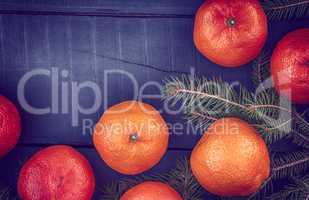 conifer branch with ripe tangerines on a black wooden surface
