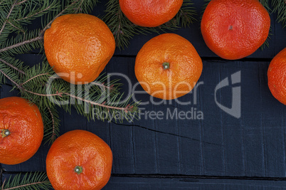 Branch ate with ripe tangerines on a black wooden surface, top v