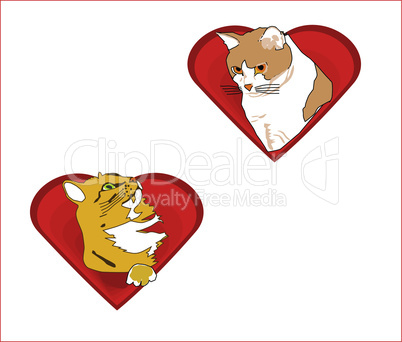 Valentine Hearts Filled With Cats