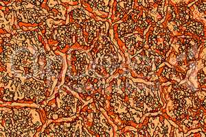 Abstract pattern in orange hues