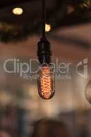 Ornamental light bulb lit up