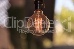 Ornamental light bulb