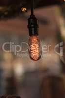 Ornamental light bulb