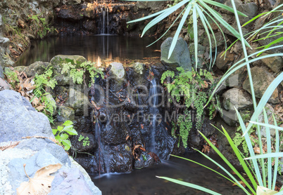 Ferndell hiking trail with ferns, small waterfalls and ponds