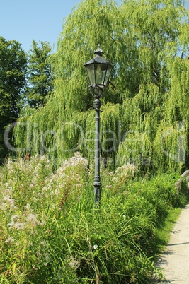 A lamp in the park