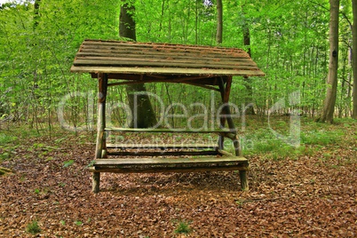 A seat in the wood / The resting place / repose in the wood