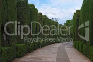 Curved pathway in the famous gardens of Alhambra