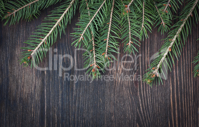 Christmas tree twigs of spruce arranged on aged wooden backgroun