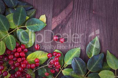 Wooden brown background with autumn leaves and bunches of Viburn